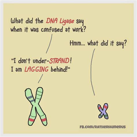 Mags Does Science Science Jokes Dna Ligase