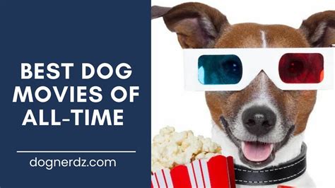 20 Best Dog Movies Of All Time 2022 Review Dog Nerdz