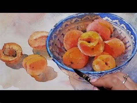 Apricots in watercolor | Sketch | Still life - YouTube | Watercolor sketch, Watercolor, Still life