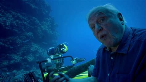 Naar De Haaien Great Barrier Reef With David Attenborough Youtube