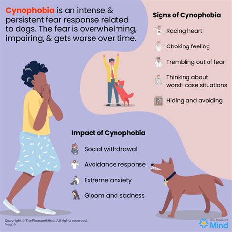 Cynophobia Meaning Symptoms Causes And Treatment