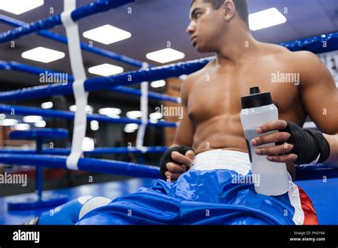 Male Boxer Drinking Water Stock Photo Alamy