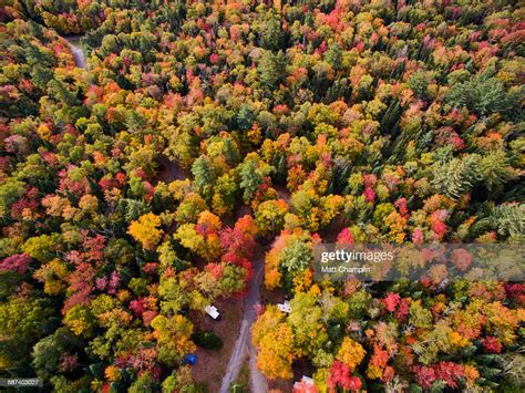 Aerial Of Colorful Autumn Trees High Res Stock Photo Getty Images
