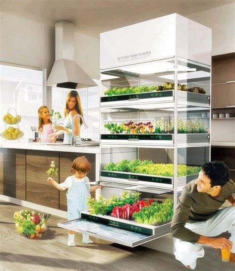 Indoor Hydroponic Systems The Perfect Idea For A Home Garden