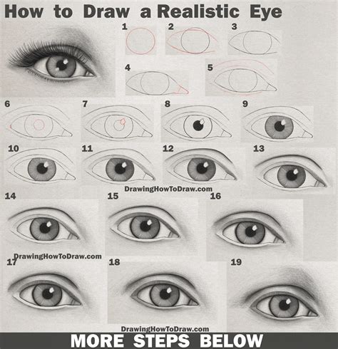 Draw the tail and the head. How to Draw an Eye (Realistic Female Eye) Step by Step ...