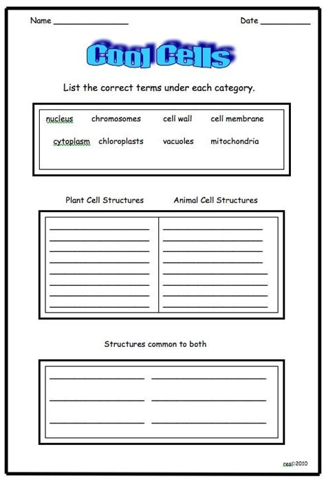 Worksheets are animal cell ws, cells alive, plant and animal cells, plant and animal cells, comparing plant and animal cells, science and nature series cells, cell ebrate science without work, cell organelle quiz. Cool Cells! Packet includes ready to print plant and ...