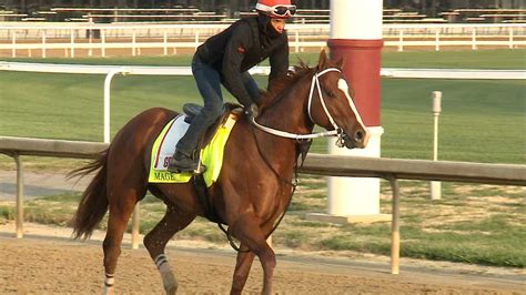 Kentucky Derby Contender Mage Staying Poised Ahead Of Race