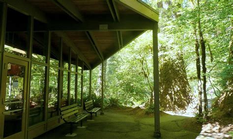 Olympic National Park Visitor Centers Alltrips