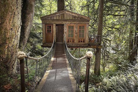 18 Treehouse Interiors You'll Love
