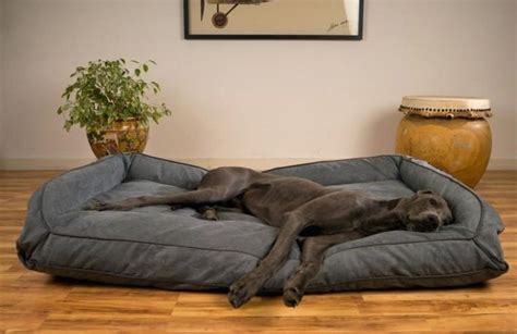 7 Best Dog Bed Ideas For Great Dane Diy Options Scout Knows Cool