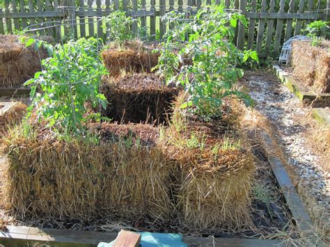 Central Virginia Organic Gardener Straw Bale Gardening
