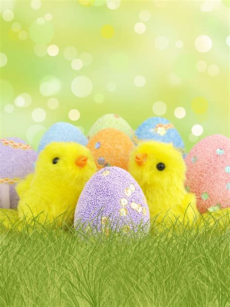 Easter Eggs And Chickens Stock Photo Image Of Background 18884376