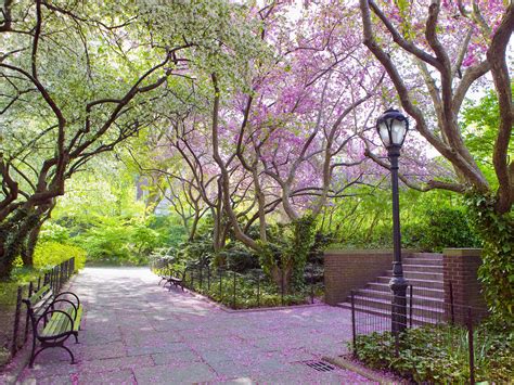 Fonds Decran Parc Central Park New York Nature Télécharger Photo