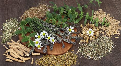 Natural Herbs Used For Anxiety And Stress Relief Ongrok