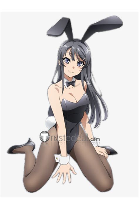 Top More Than Bunny Costume Anime Super Hot In Duhocakina