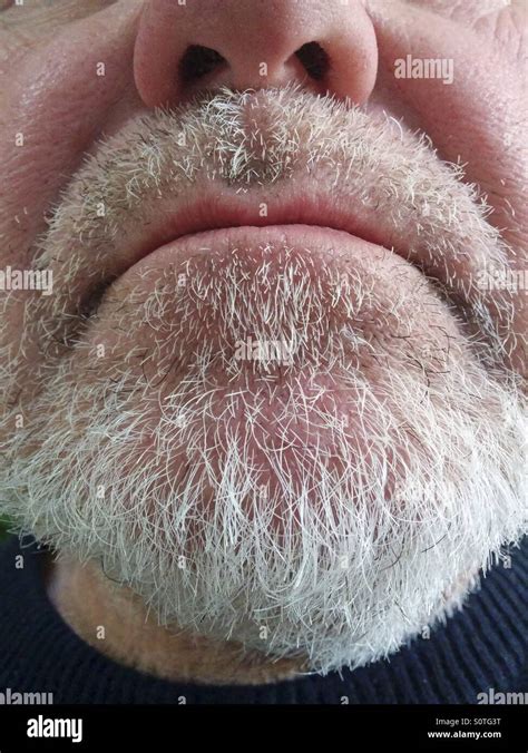 Old Man Beard Stock Photo Alamy