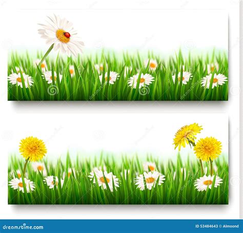 Two Nature Banners With Colorful Spring Flowers Stock Vector