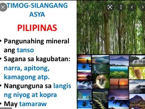 Ano Ang Likas Na Yaman Sa Timog Silangan Asya Brainly Ph