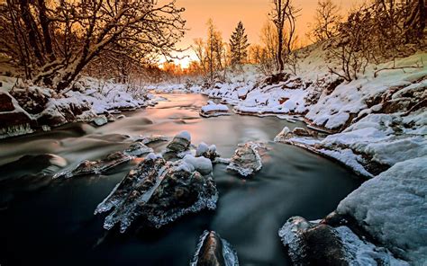 Norvège Forêt Arbres Rivière Neige Glace Hiver Coucher De Soleil