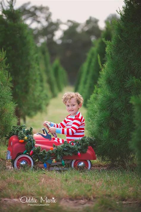 We Had So Much Fun At Our Christmas Tree Mini Sessions This Year I