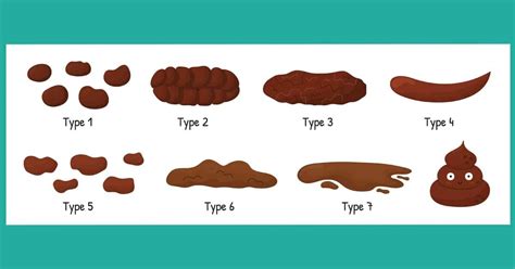Bristol Stool Chart Checking If Your Poop Is Healthy 46 Off