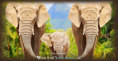 Elephant Symbolism And Meaning Spirit Totem And Power Animal