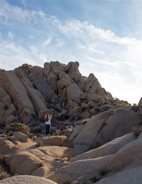 A Day Trip To Joshua Tree 8 Cant Miss Activities In Joshua Tree