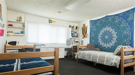 Wiley Hall College Dorm Rooms Dorm Inspiration Modern Room