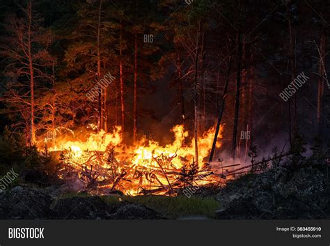Big Flames Forest Image And Photo Free Trial Bigstock