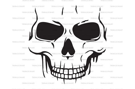 Human Skull Skeleton Head Graphic By Tribaliumart · Creative Fabrica