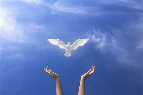 Ucgen icinde ucgen dövme : Novena to the Holy Ghost (for the Gifts of the Spirit)
