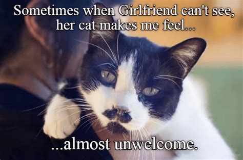 And Im Afraid To Tell Her Lolcats Lol Cat Memes Funny Cats