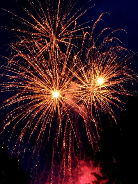 Free Images New Year 2016 Fireworks Illustration