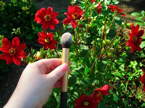 Beauty Diversion My Favorite Brushes And Summer Flowers