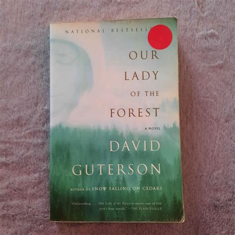 Our Lady Of The Forest By David Guterson Hobbies And Toys Books