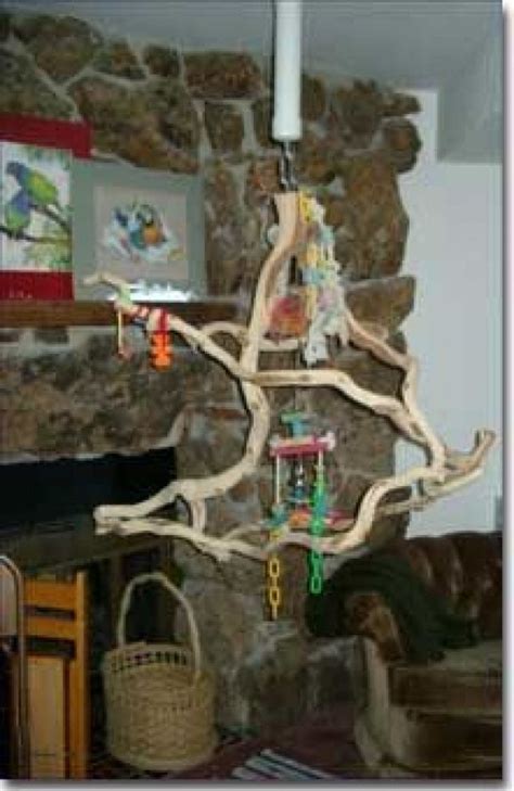 The bird perch stands are loaded with impressive features that align with your needs. Hanging bird perch (can DIY too!) #birdsupplies #bird #supplies #parrot #toys (With images ...
