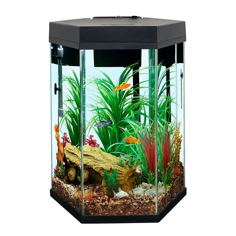 Aqueon Standard Glass Aquarium Tank 20 Gallon High