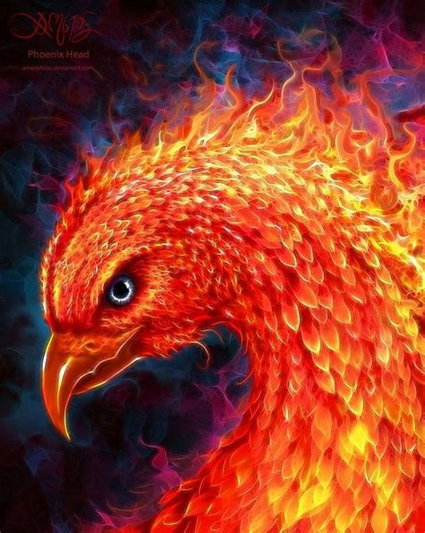 Phoenix Head Picture By Christos Karapanos Amorphisss Phoenix Artwork