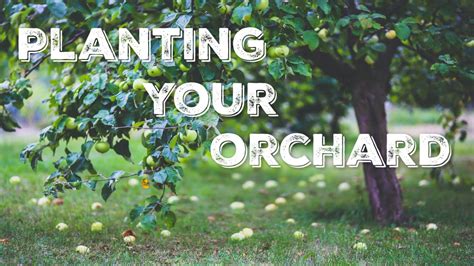 2 Ways To Grow An Orchard Youtube