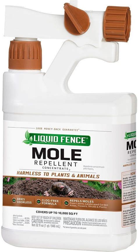 Voles Causing Problems In Your Yard Choose The Right Vole Repellent