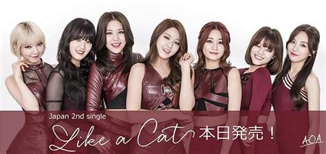 Like A Cat Aoa 2nd Japan Single 700×333 지민