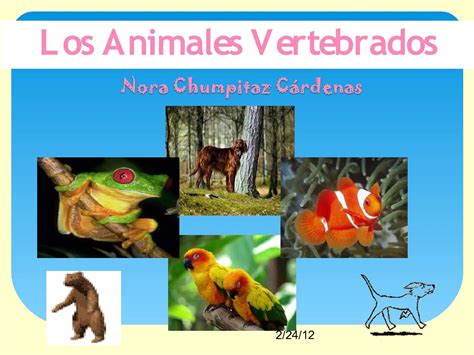 Calaméo Animales Vertebrados