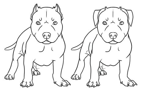 Then you've come to the right place. Realistic Pitbull Coloring Pages at GetColorings.com ...