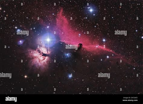 The Horsehead Nebula In The Constellation Orion And Its Surroundings