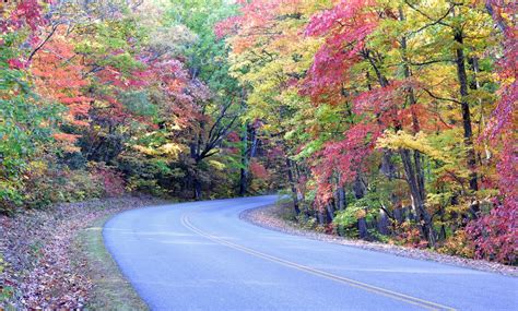 Blue Ridge Parkway The Perfect Fall Foliage Road Trip
