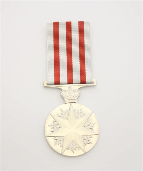 Distinguished Service Medal 1991 Full Size Medals Of Service
