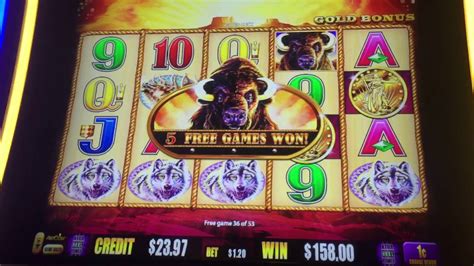 You can play the game online for. Buffalo Gold Las Vegas Hard Rock 75 free spins slot machine bonus round! - YouTube
