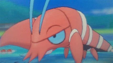 Shiny Crayfish Shiny 217 Pokémon Amino