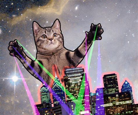 Laser Cat Cartoon Funny