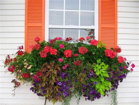 Breathtaking 25 Gorgeous Full Sun Container Plants Ideas To Make Up